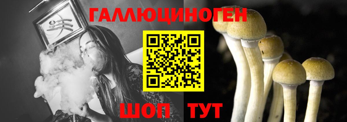 Галлюциногенные грибы Magic Shrooms  Вход с VPN  Лосино-Петровский  Галлюциногенные грибы MAGIC MUSHROOMS 